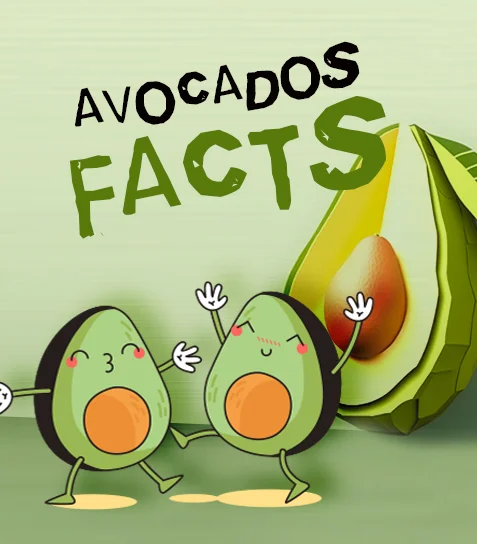Avocados Facts